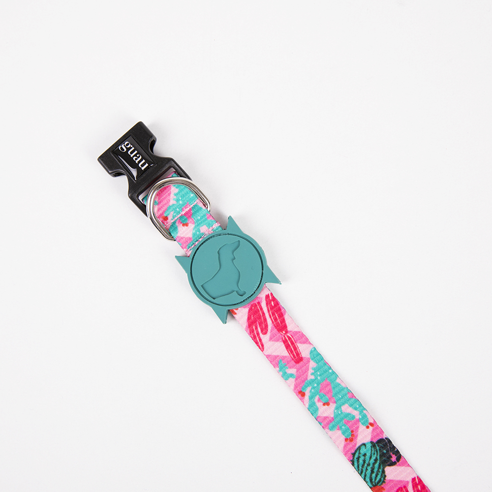 Collar cactus - 3