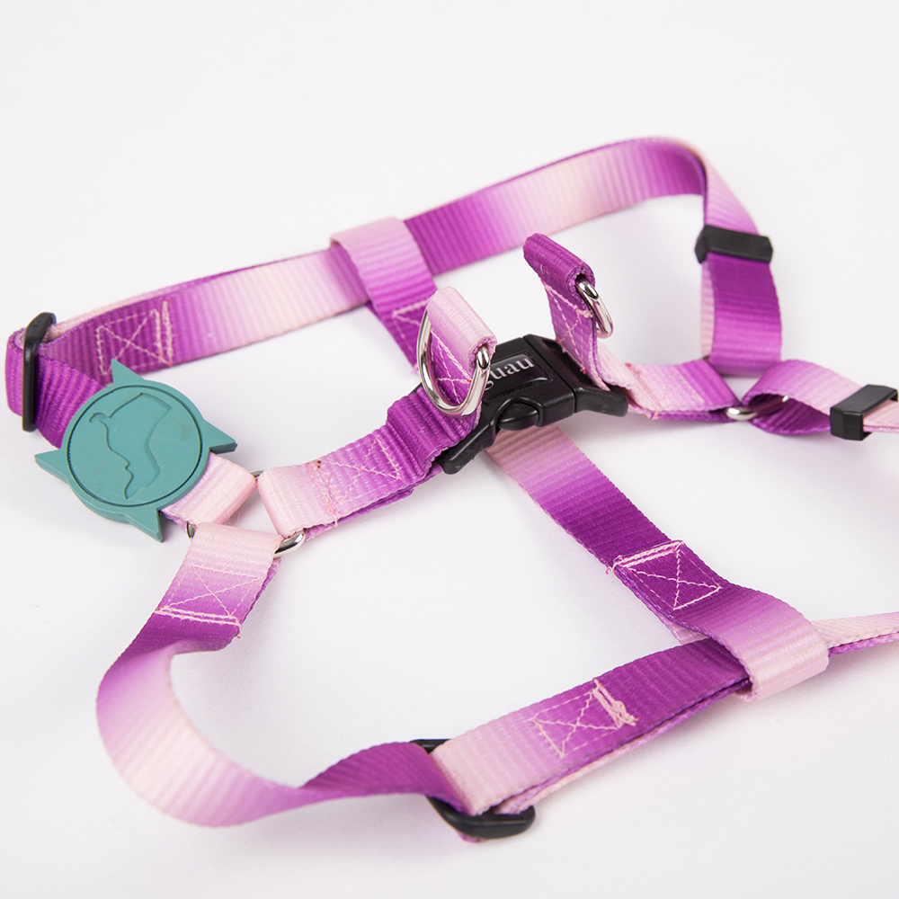 Pechera Pink Twister - 1