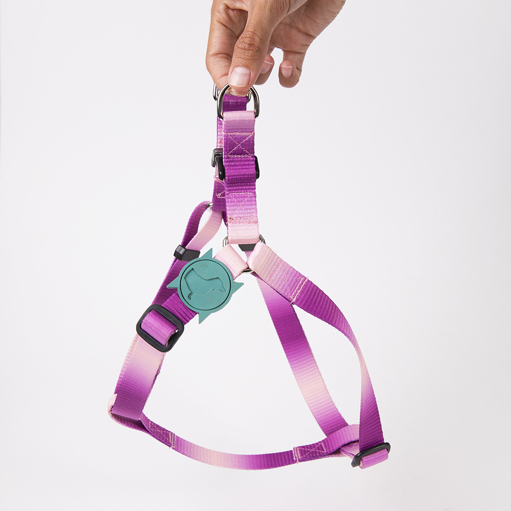 Pechera Pink Twister - 2