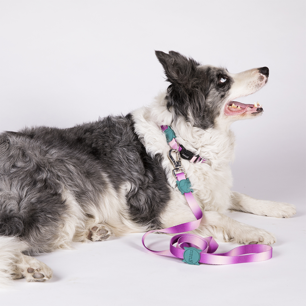 collar pink twister catalogo